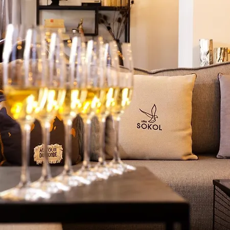 Sokol Hotel Borowez
