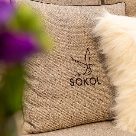 Sokol Hotel Boroveț